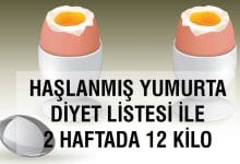 Haşlanmış yumurta diyeti