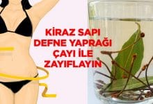 Kiraz Sapı - Defne Yaprağı Çayı