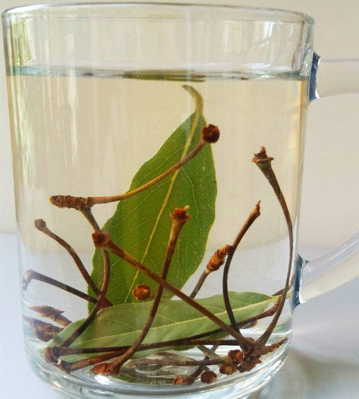 Kiraz sapı ve defne yaprağı çayı