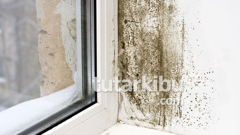 Pencere kenarlarındaki rutubet nasıl temizlenir?