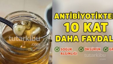 Antibiyotikten 10 Kat Faydalı